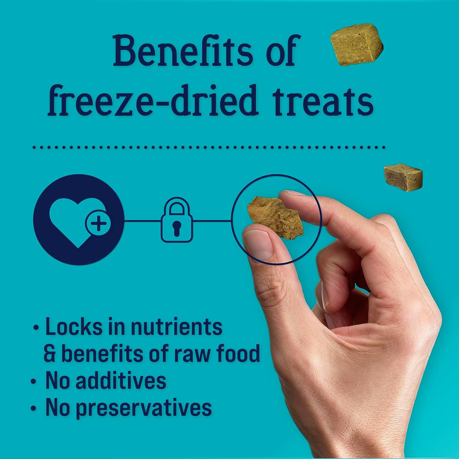 Freeze-Dried Raw Dog Treats - Single Ingredient Chicken Liver, 1.5 oz Resealable Tub, High-Protein, Grain-Free, Gluten-Free, Training Treats & Meal Topper